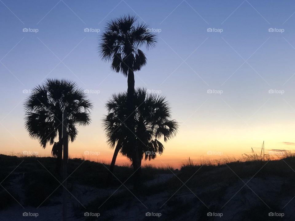 Florida Beach Sunset