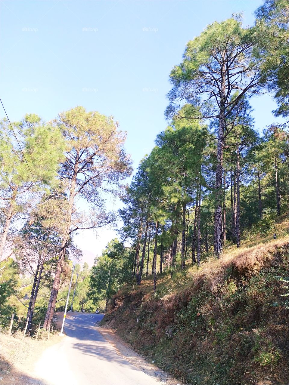 Mountain view on the way to Uttarkashi