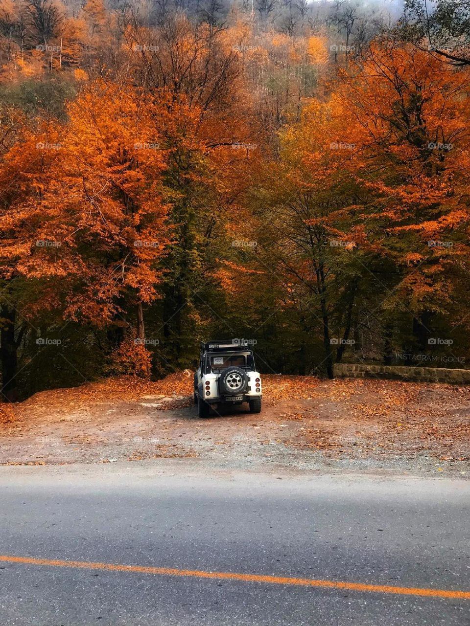 I m in love with this road, with this beautiful forest..one of the most beautiful Fall views in my life!i just stood and breath the fall and I was enchanted with the beauty of Fall..