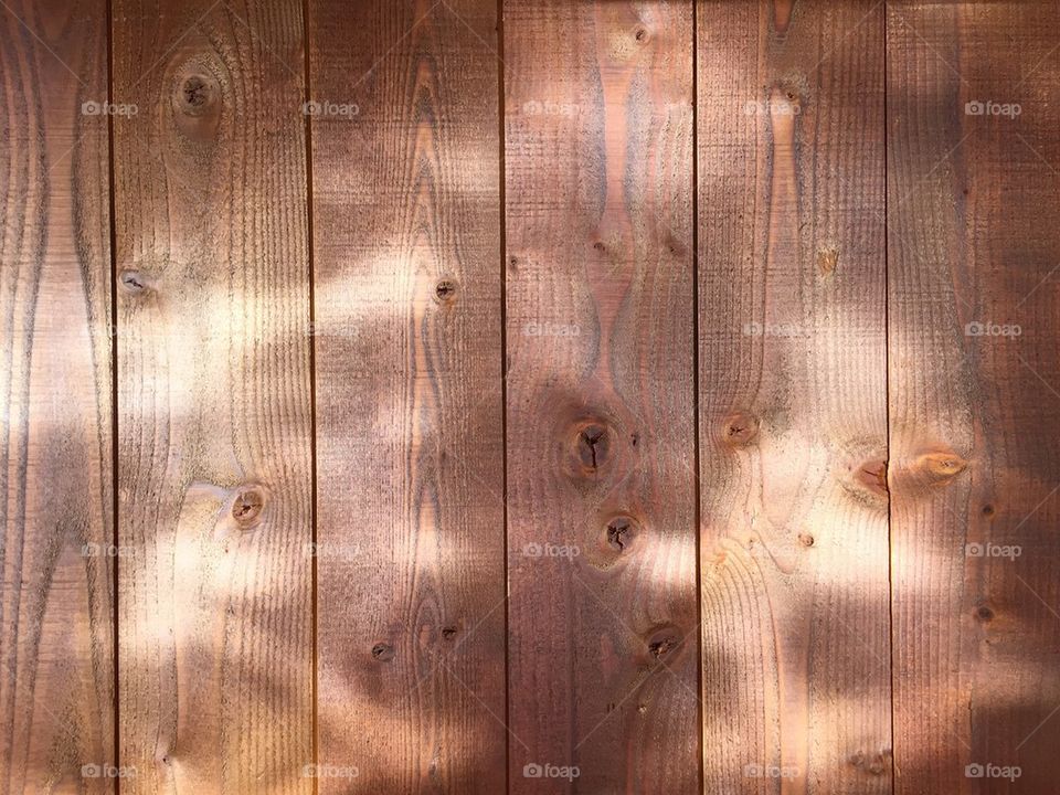 Wood reflection 