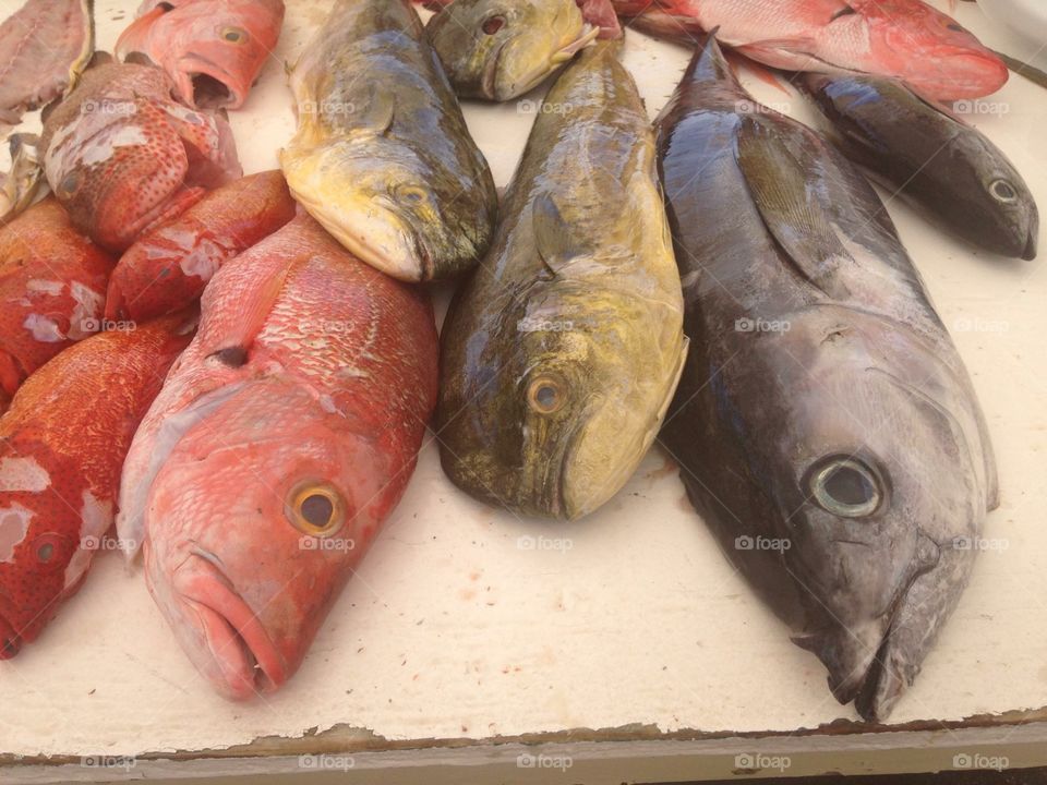 Fish market exotic