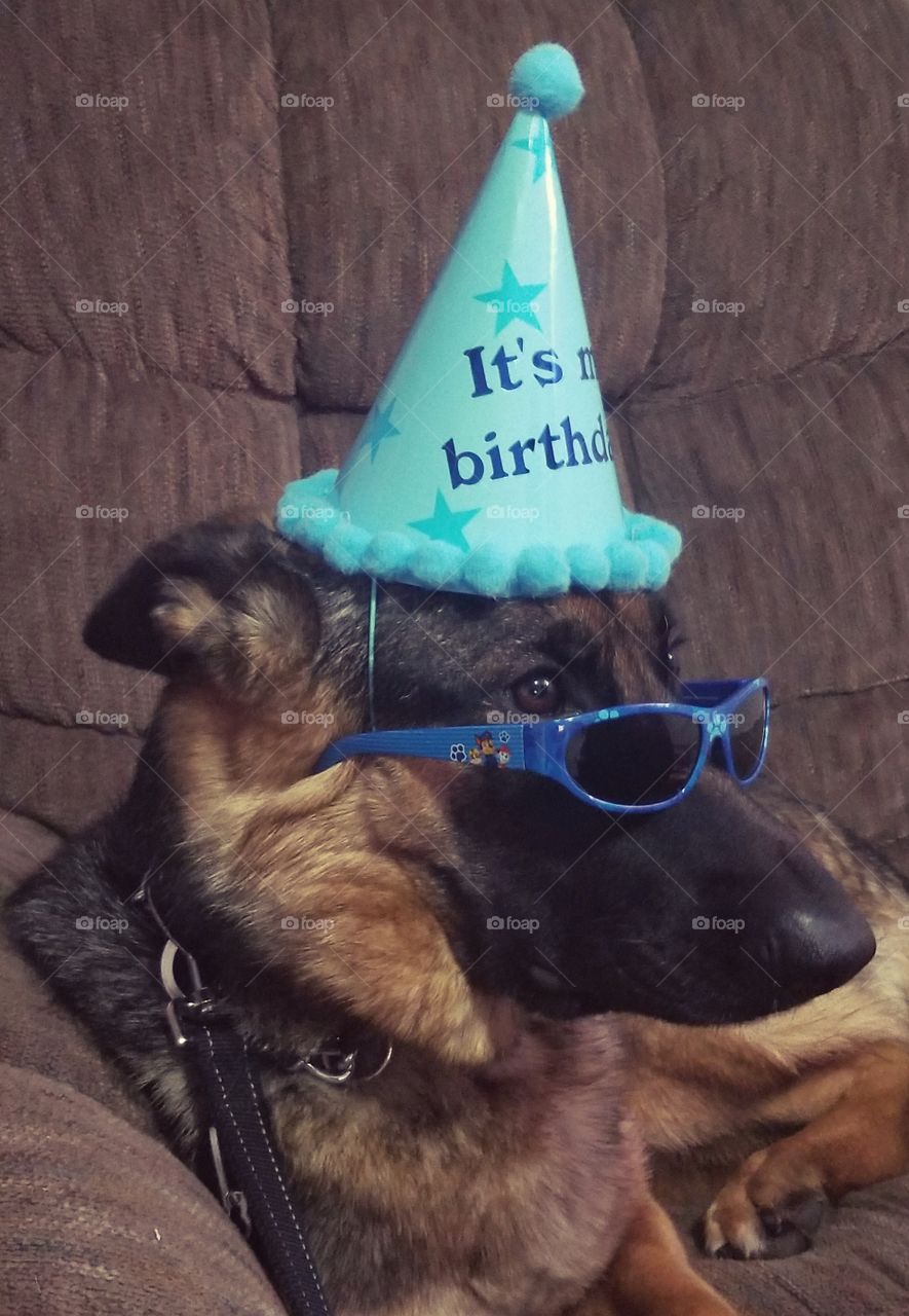 I'll cry if I want to