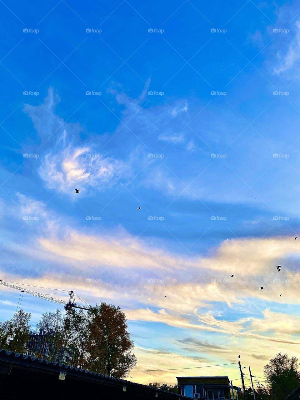 #sky #tree #clouds
#sunset #leaves #