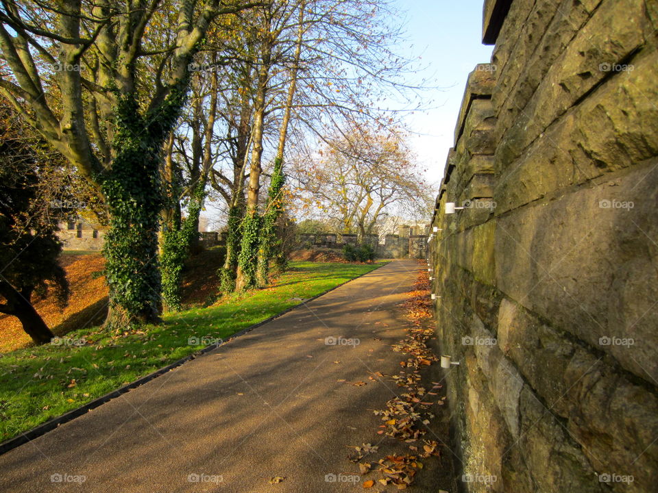 Road, Guidance, No Person, Landscape, Outdoors