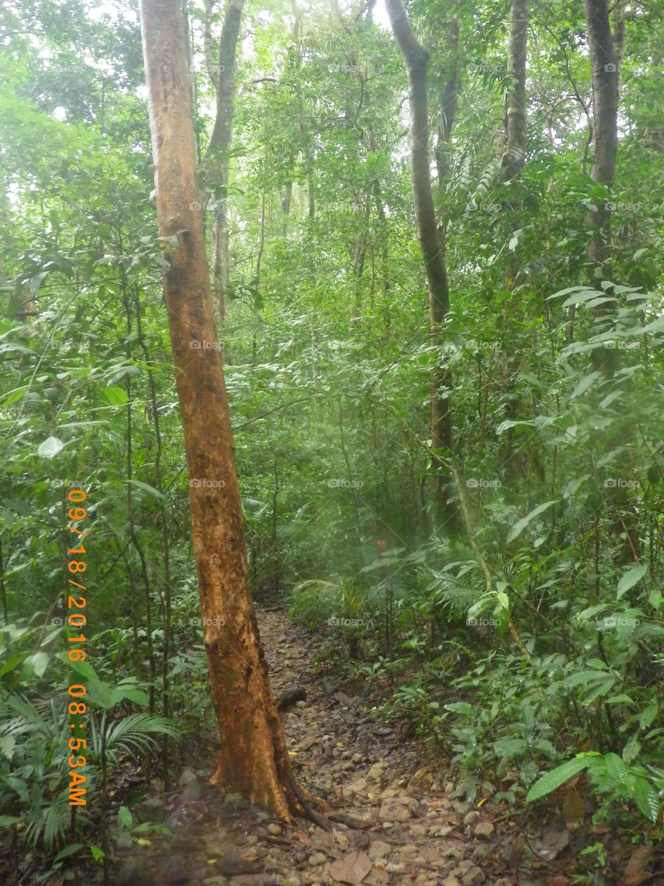 muddy trail to the mt mariveles ridge