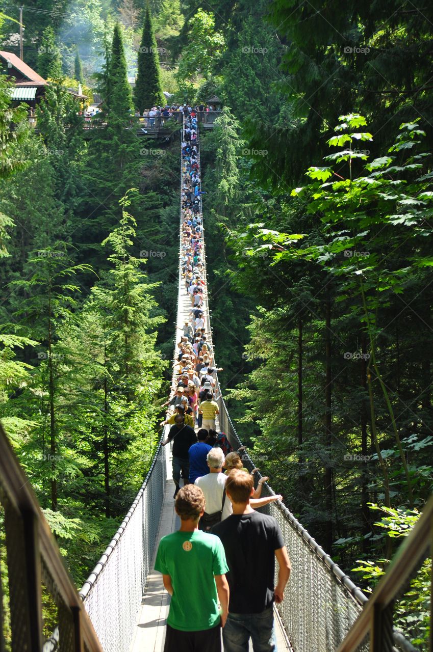 Hiking high above the trees