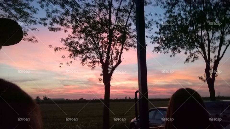Tree, Landscape, Dawn, Sunset, Evening