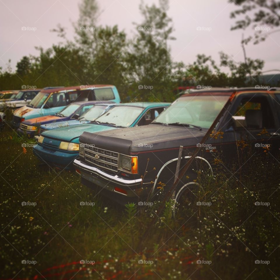 Row of old cars, vans and trucks. Abandoned.