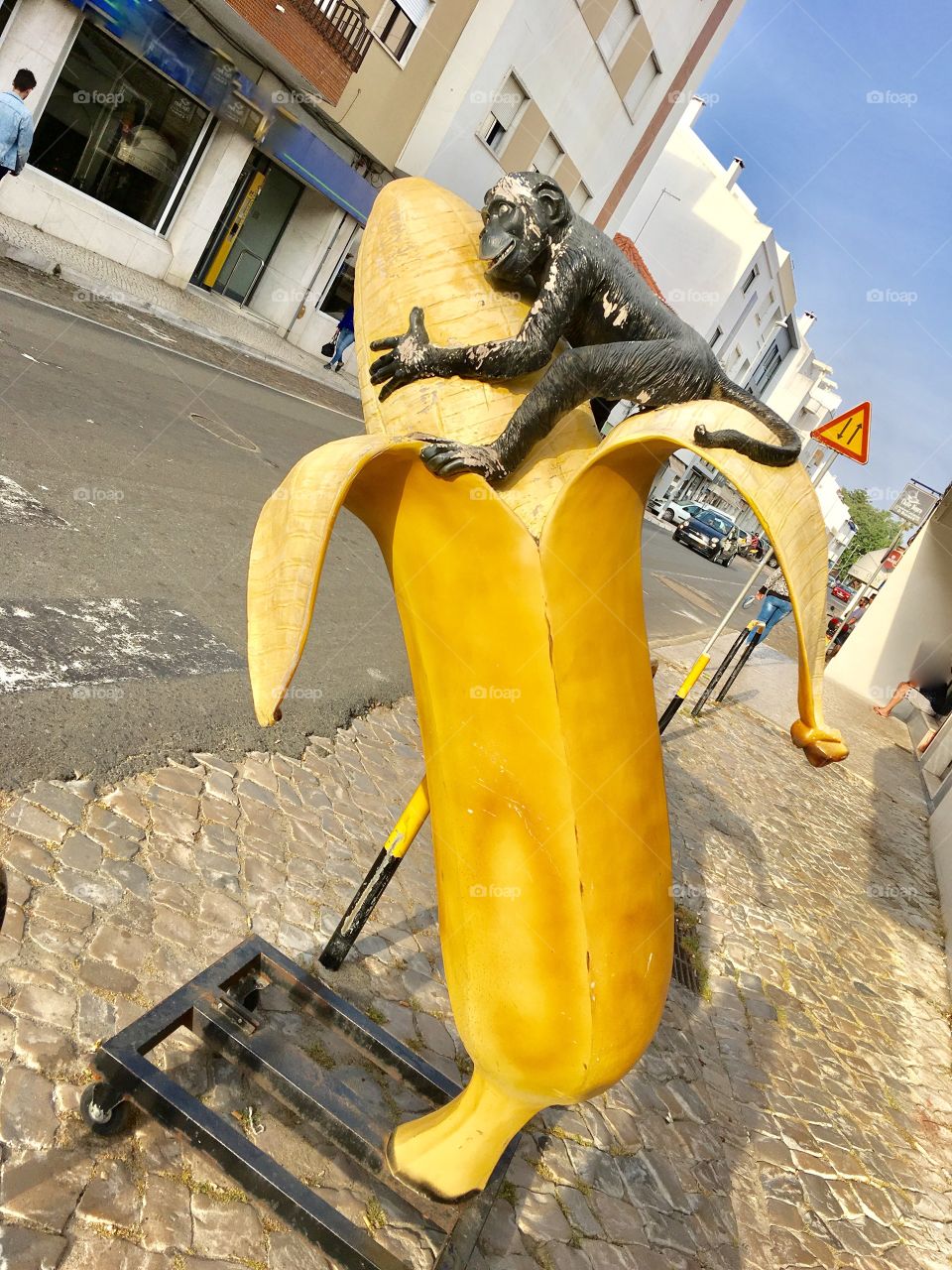 Banana Monkey in the street 