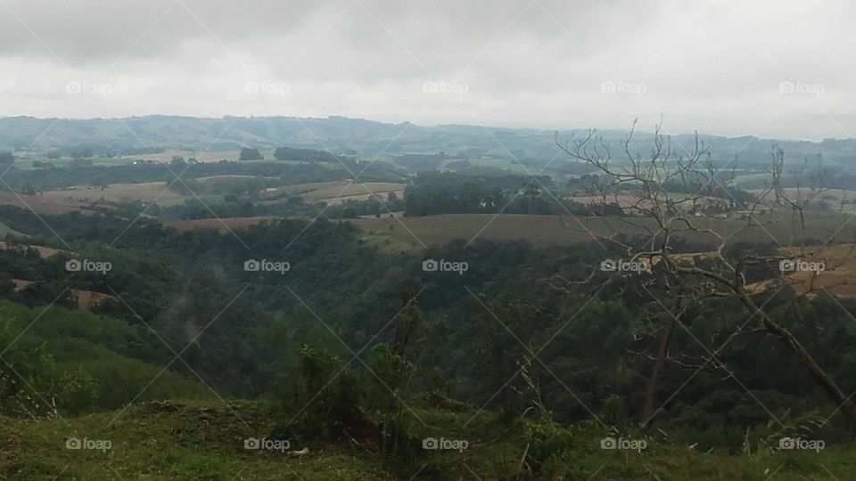 Landscape, Hill, Tree, Mountain, Agriculture
