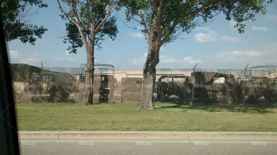 Tree, No Person, Building, Outdoors, Landscape