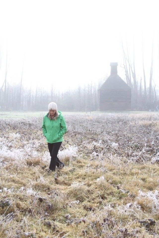 Foggy field 