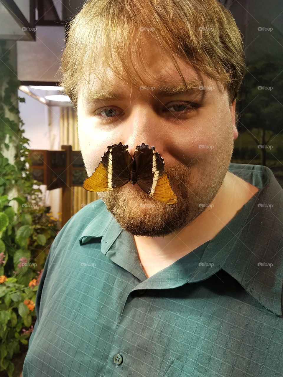 Butterfly on man's face