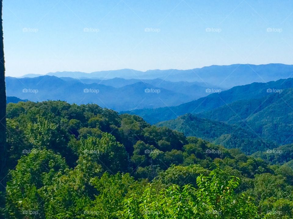 Breathtaking views at the Great Smoky Mountains! 