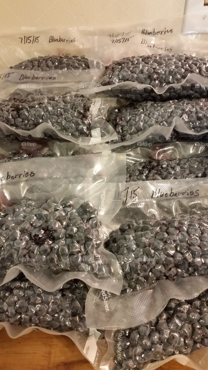 Blueberries 2. 46 pints of blueberries,vacuum sealed and ready for the freezer.