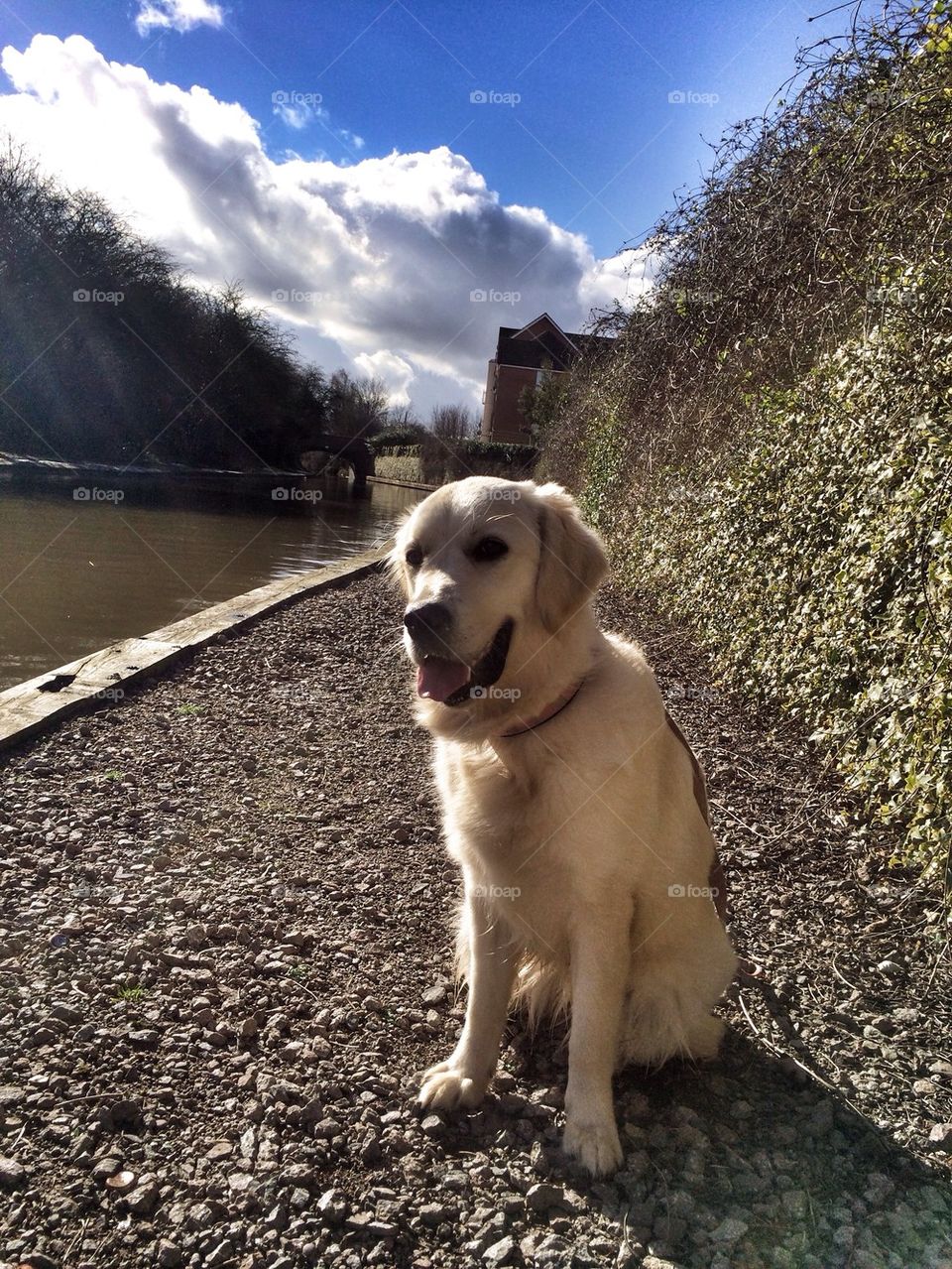 Zoe posing at the canal