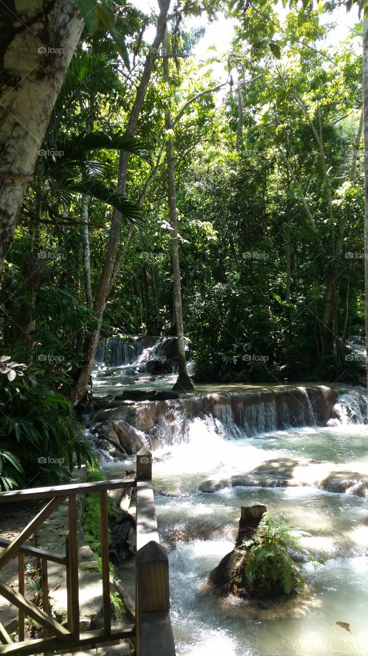 Dunn's River Falls