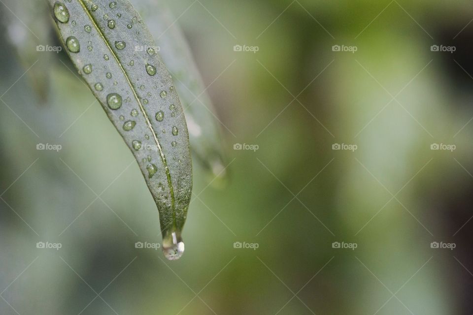 Droplet