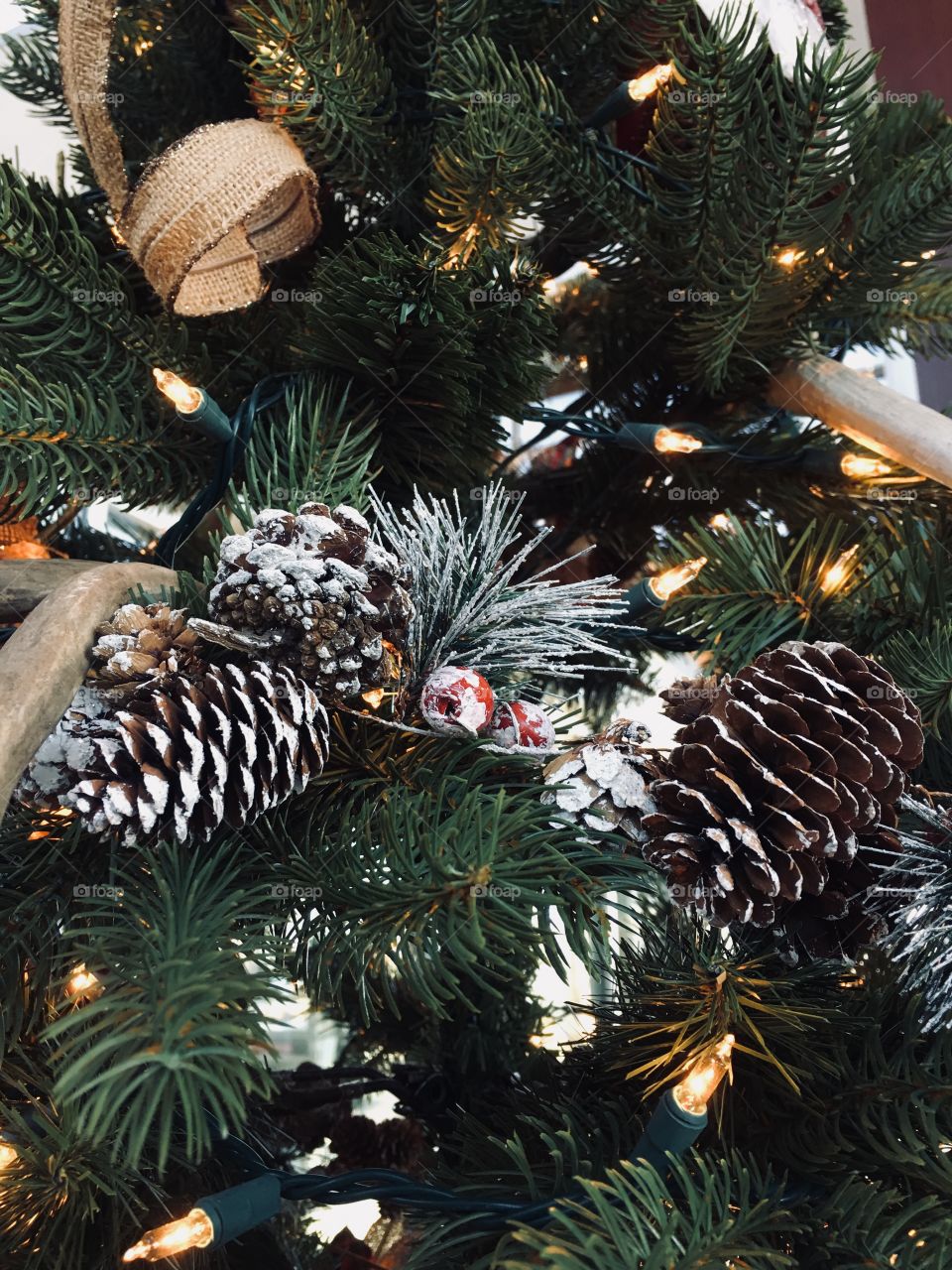 Christmas, Winter, Pine, Evergreen, Decoration