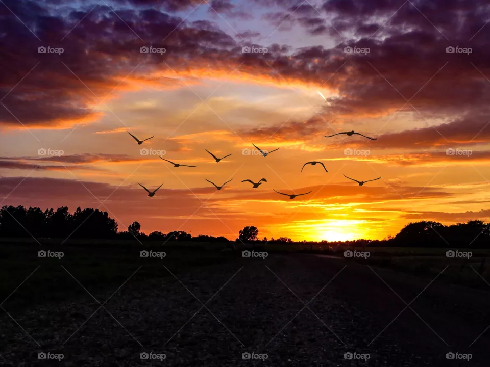 sunset