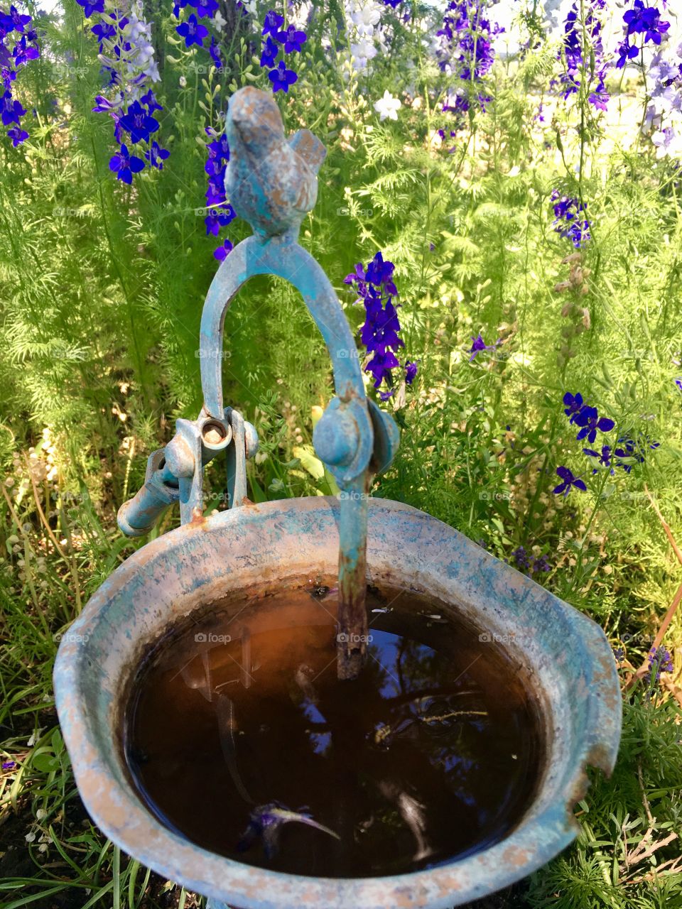 Perfectly rusted bird bath with not so perfect water.
