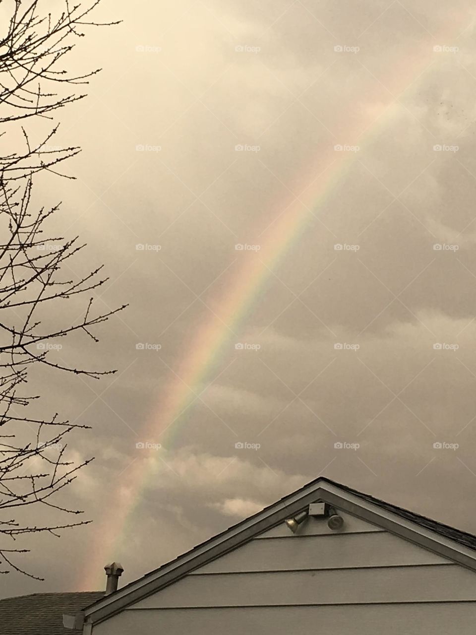 Rooftop Rainbow