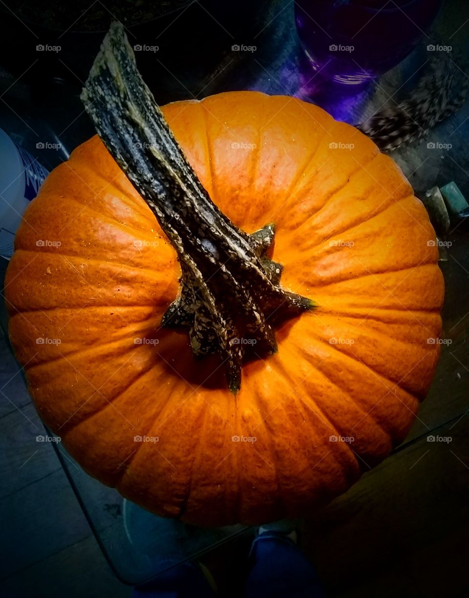 Pumpkin