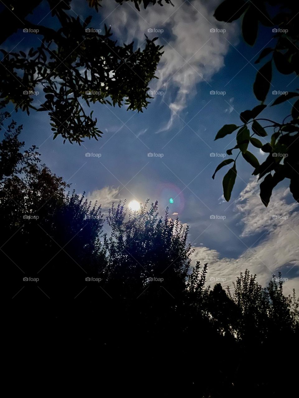 Night sky so clear and peaceful 