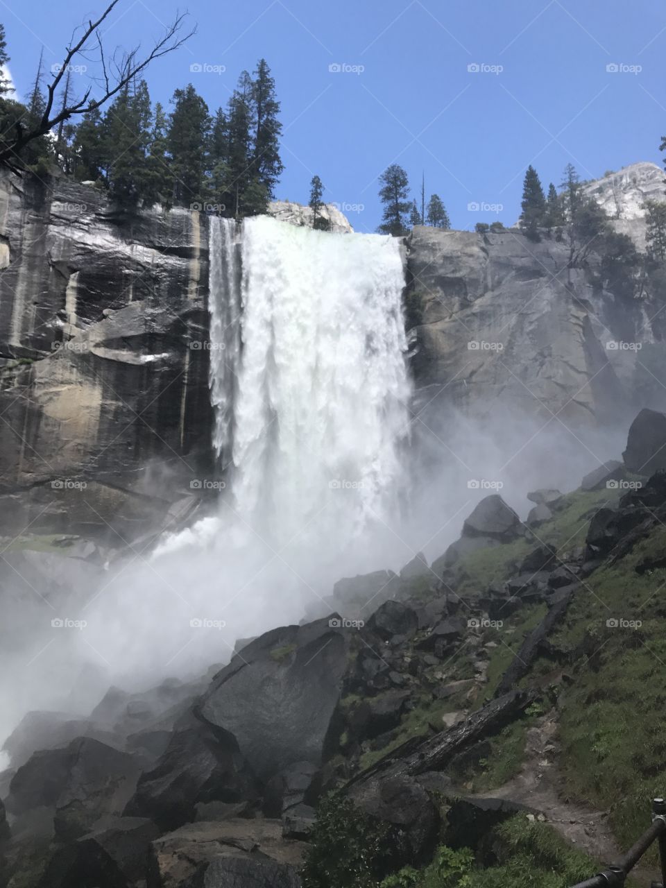 Yosemite National Park