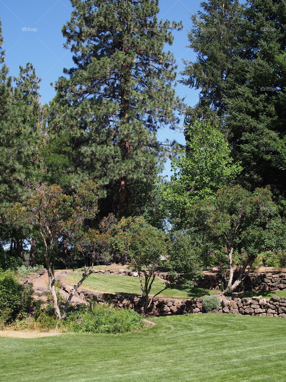 Multiple tiers with rock walls of different growth from grass to flowers and trees in Pioneer Park in Bend in Central Oregon on a beautiful sunny summer day. 