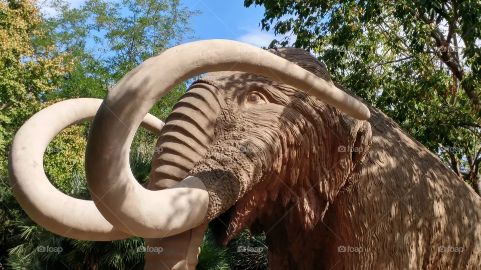 mammoth