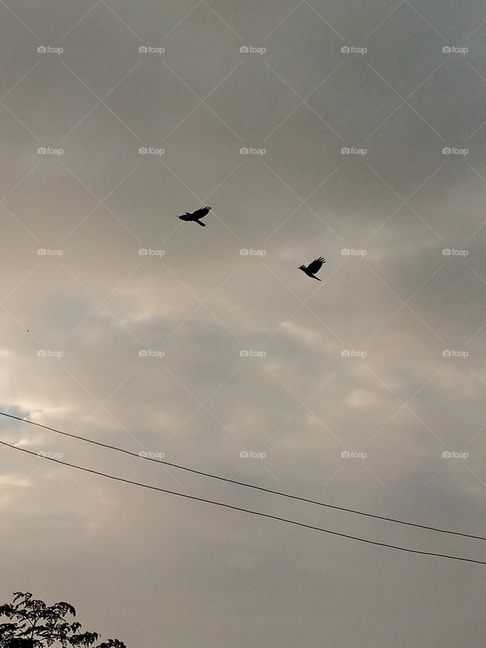 The love of your life will find you