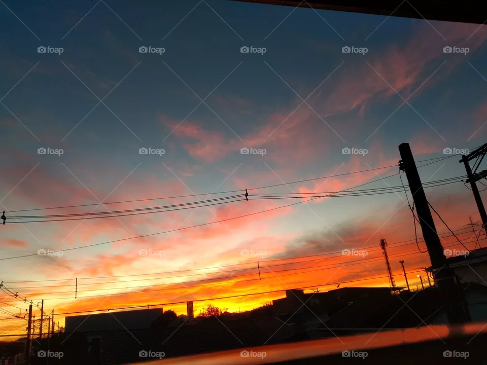 dawn landscape