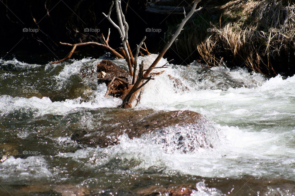 wood water river rocks by mmcook