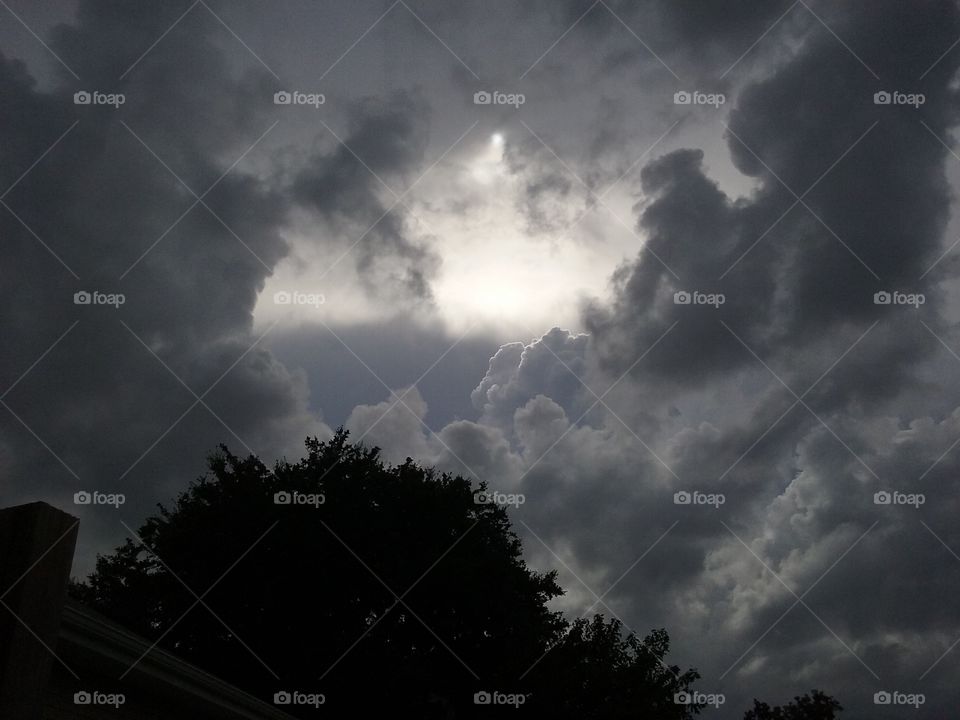 Before the August Storm