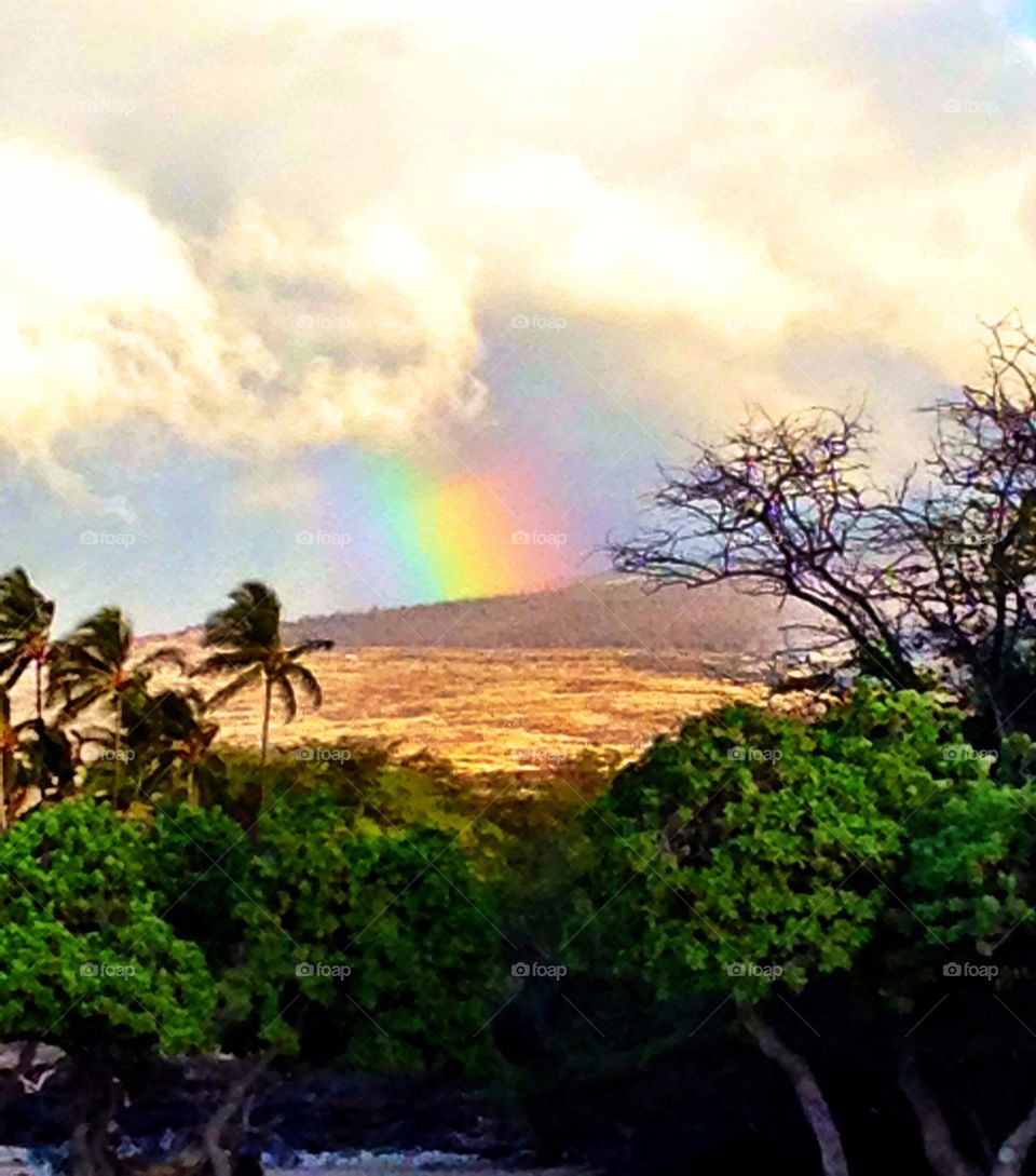 Mauka showers