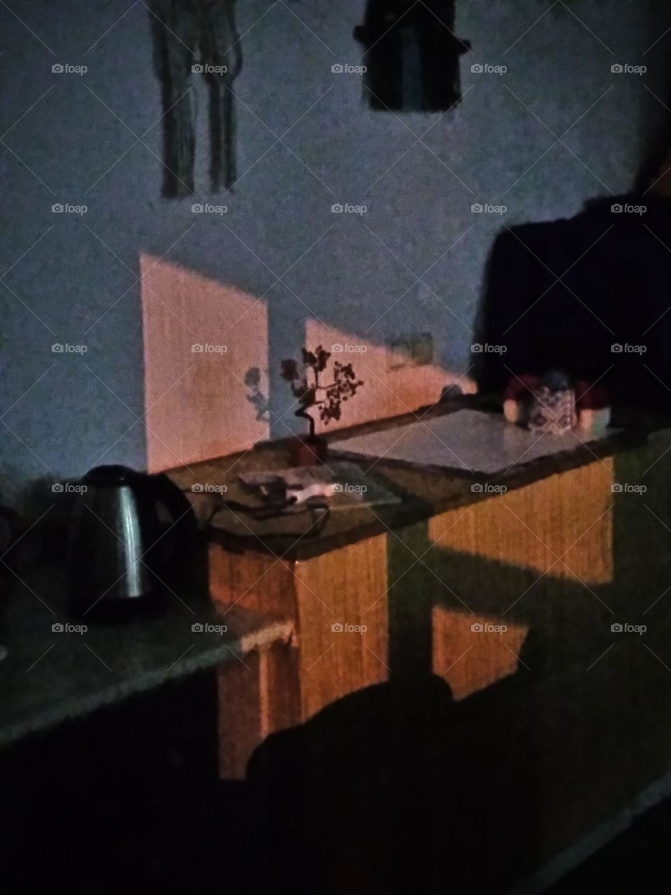 Same life, but different minds