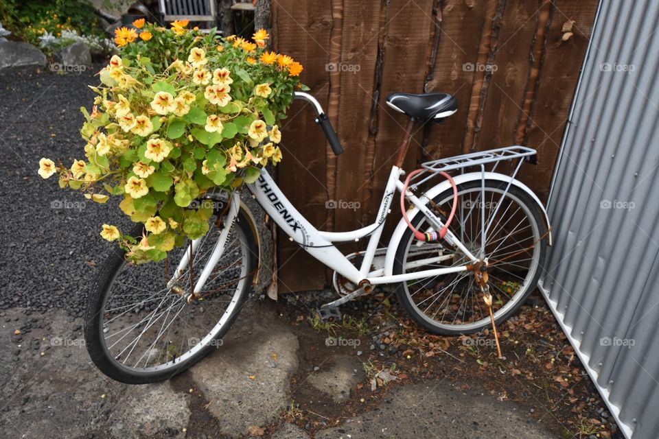 Wheel, Bike, No Person, Street, Road