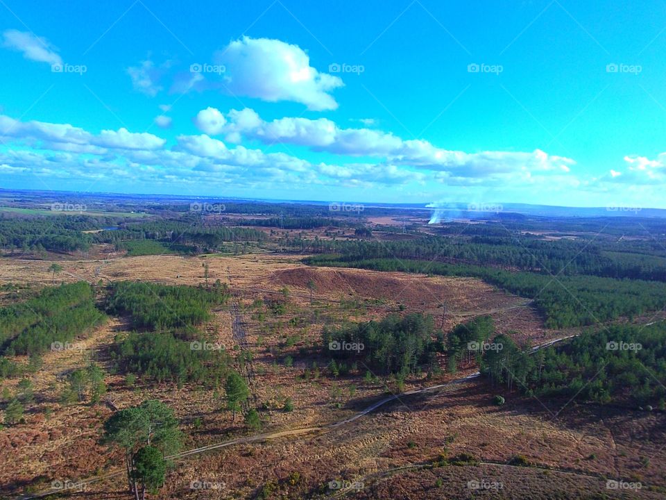 Drone over forest 