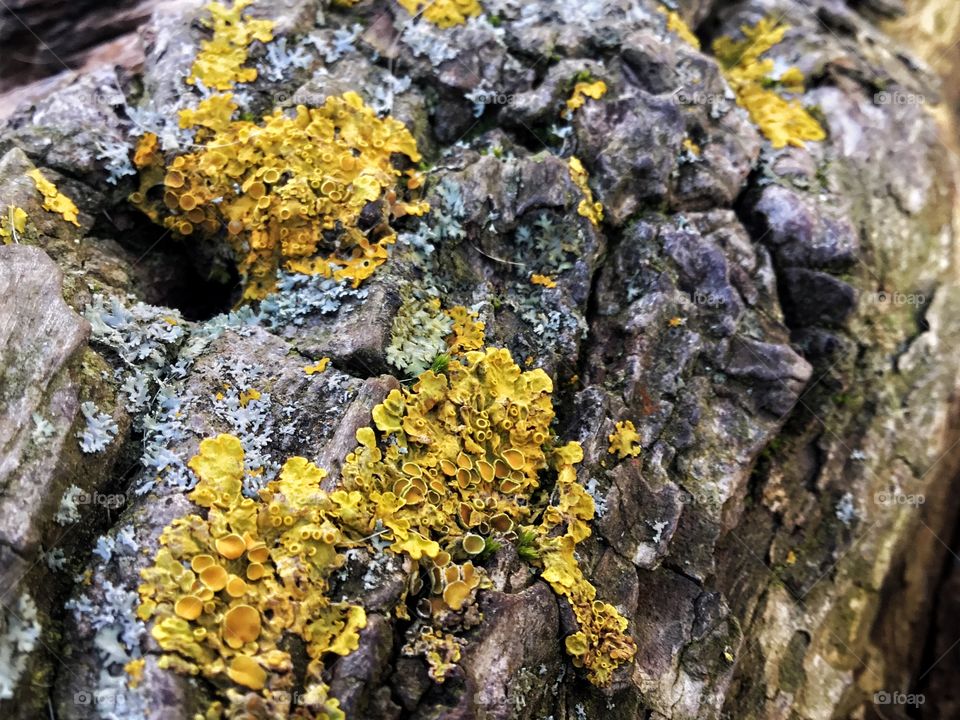 Observing beauty and having no idea...