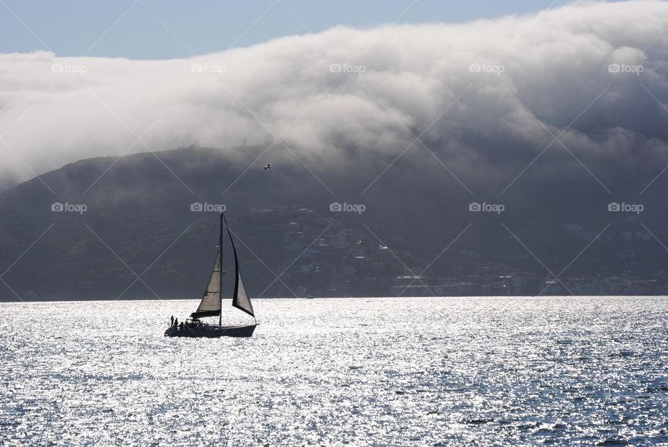 A group of sailors brave the fog to sail across the bay to Sausalito CA.
