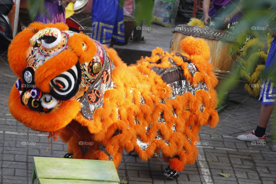 lion dance