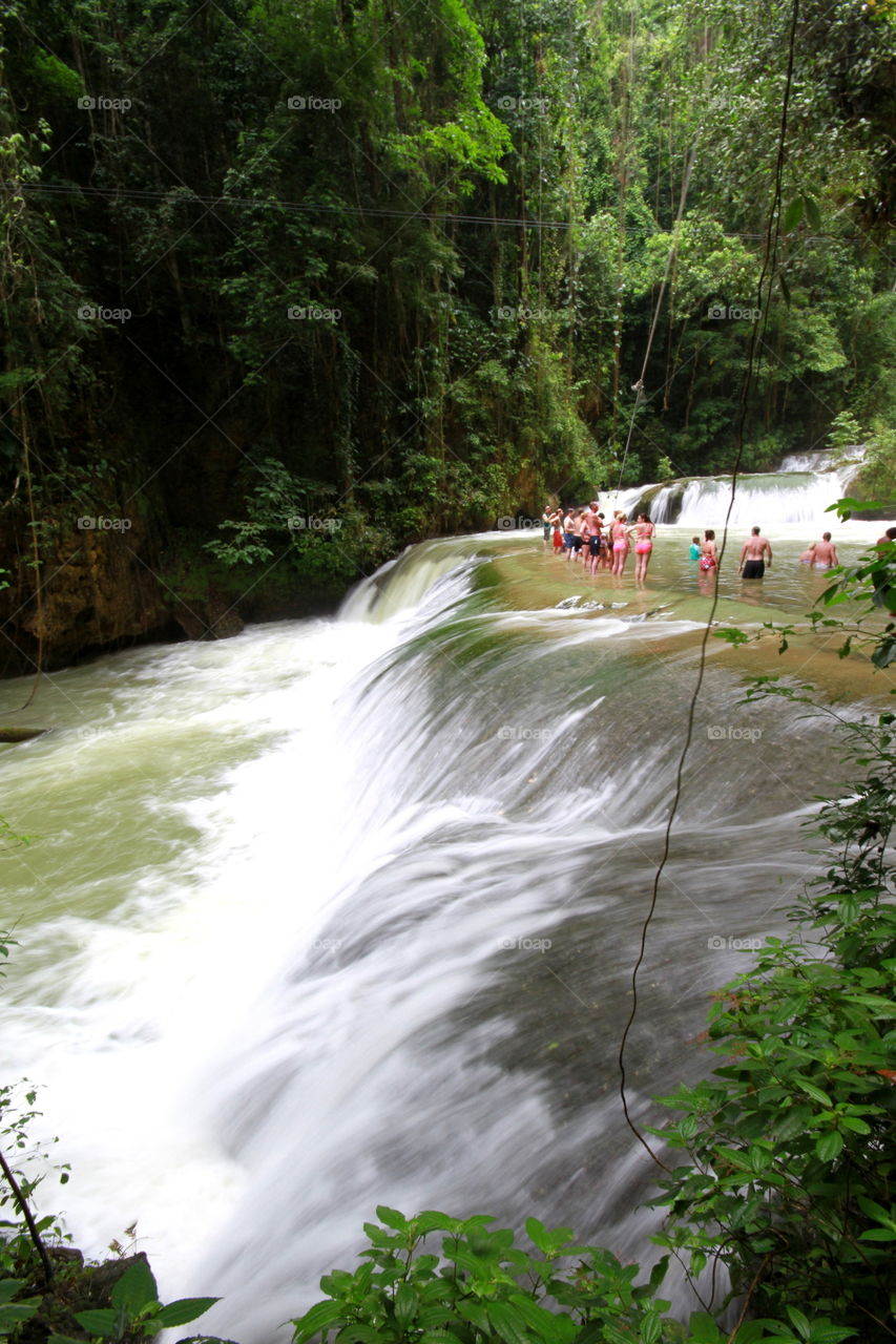 River, Water, Nature, Waterfall, Wood