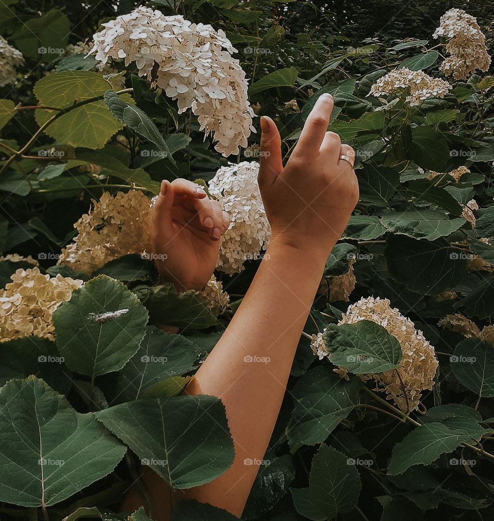 Ukrainian nature - Українська природа