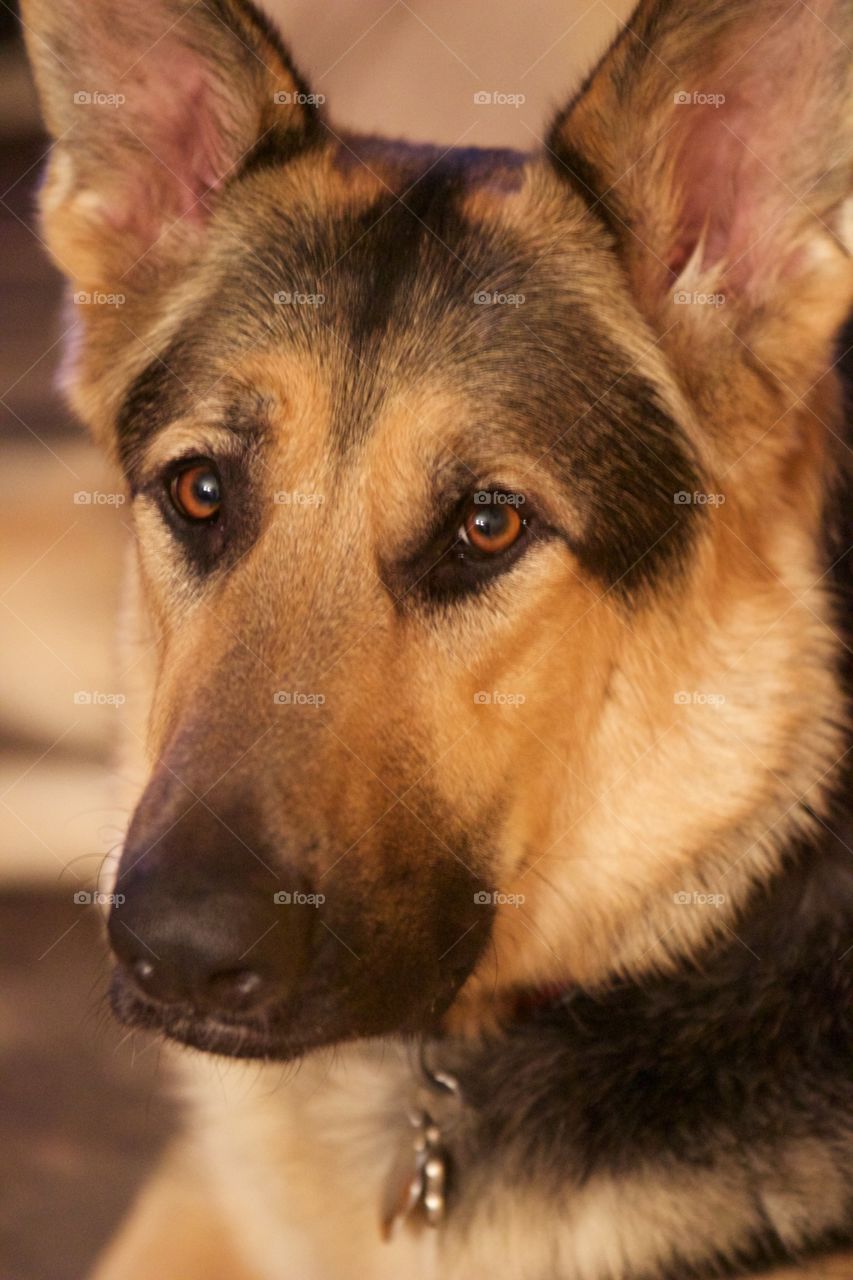 What beautiful eyes, the window to his soul