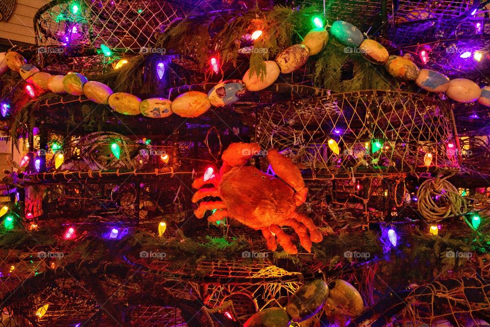 Christmas crab