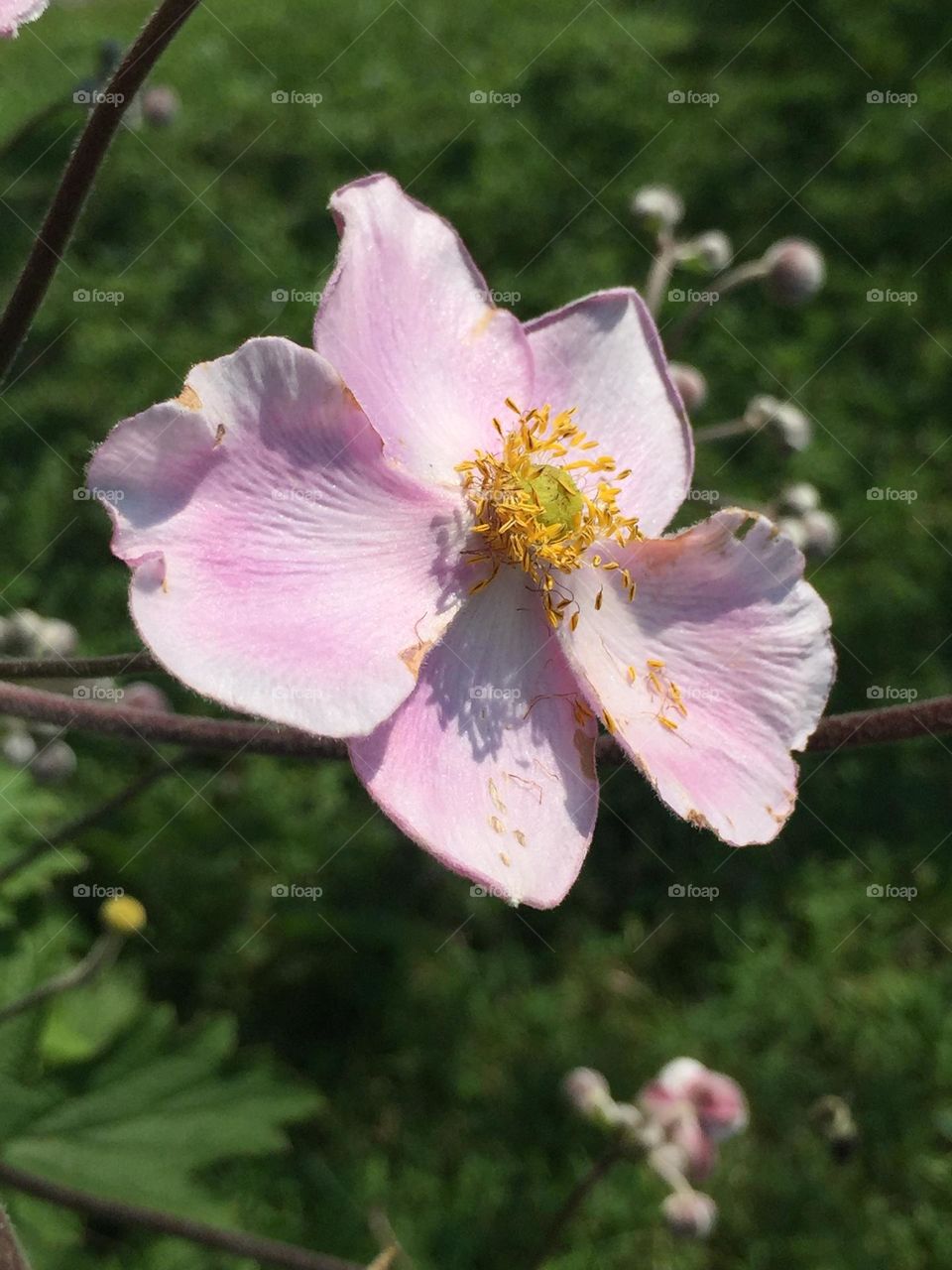 Look towards the sun 🌞