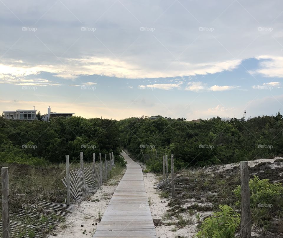 Boardwalk off of the beach into the Maritime Forest