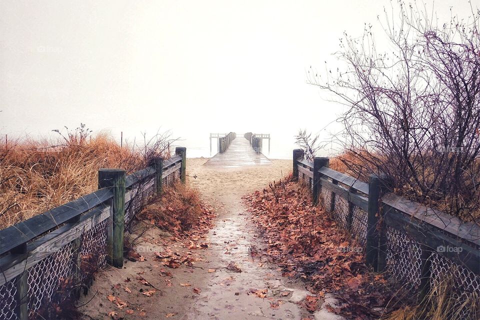 Foggy beach 