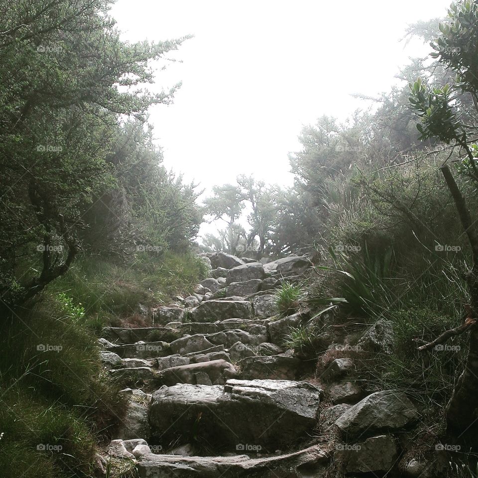 mist rolling in over stone steps